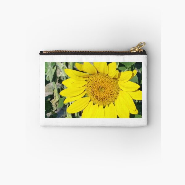 Item preview, Sunflower Splash designed and sold by lindasdreams.