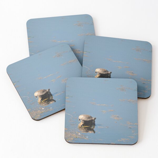 Item preview, Lone Turtle designed and sold by Tamara McDonnell.