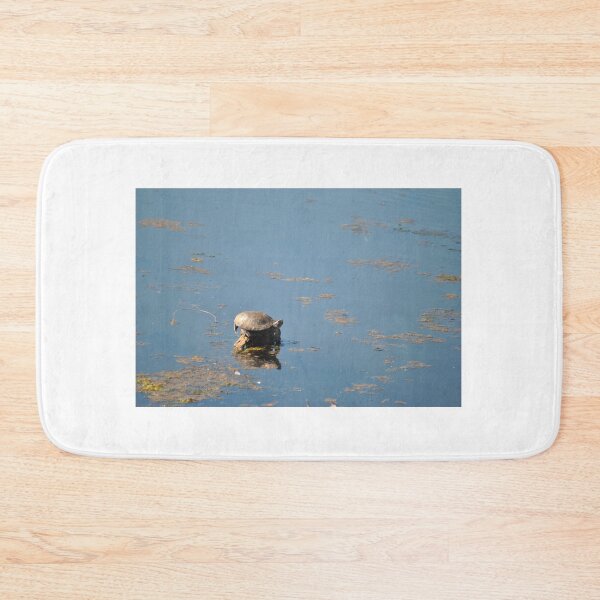 Item preview, Lone Turtle designed and sold by Tamara McDonnell.