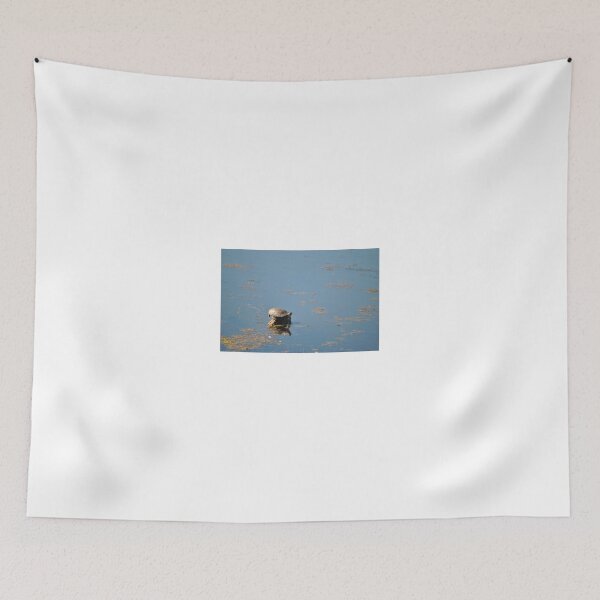 Item preview, Lone Turtle designed and sold by Tamara McDonnell.
