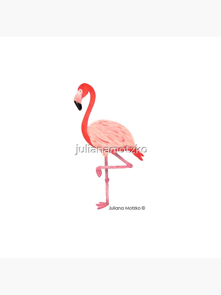 Flamingo by julianamotzko