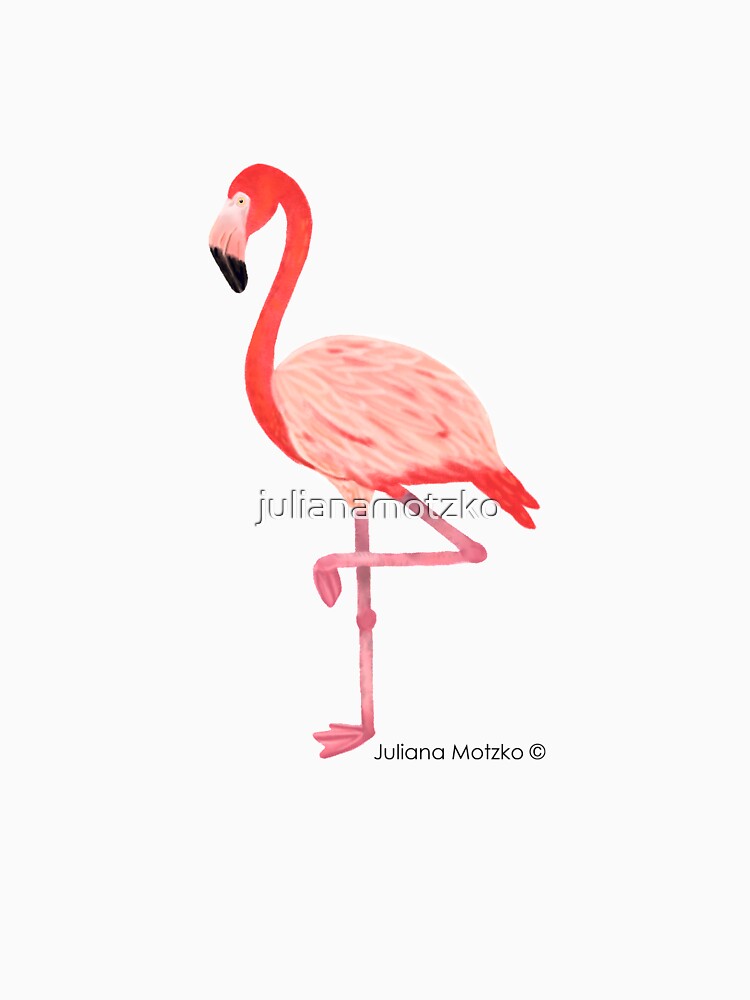 Flamingo by julianamotzko