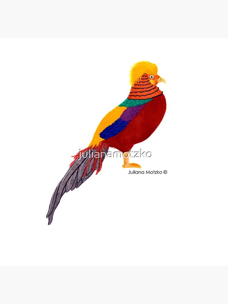 Golden Pheasant by julianamotzko