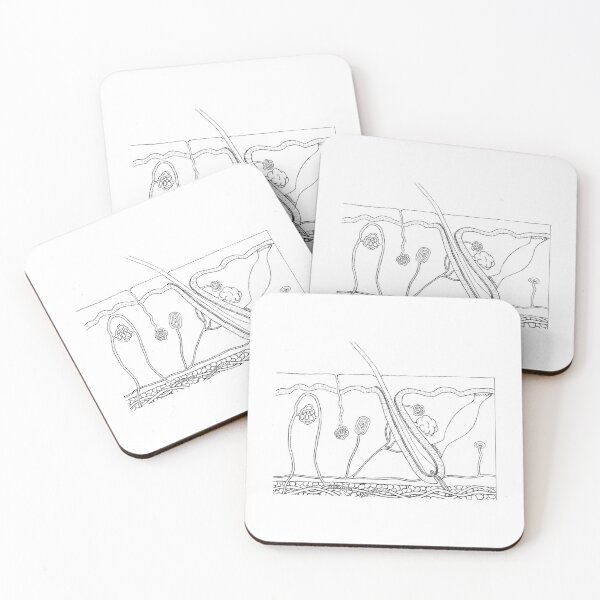 Item preview, integumentary system designed and sold by tralystan.