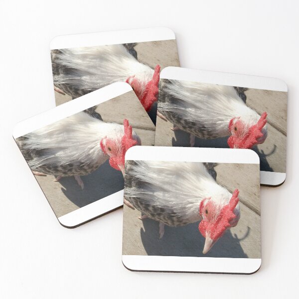 Item preview, Curiosity designed and sold by Tamara McDonnell.