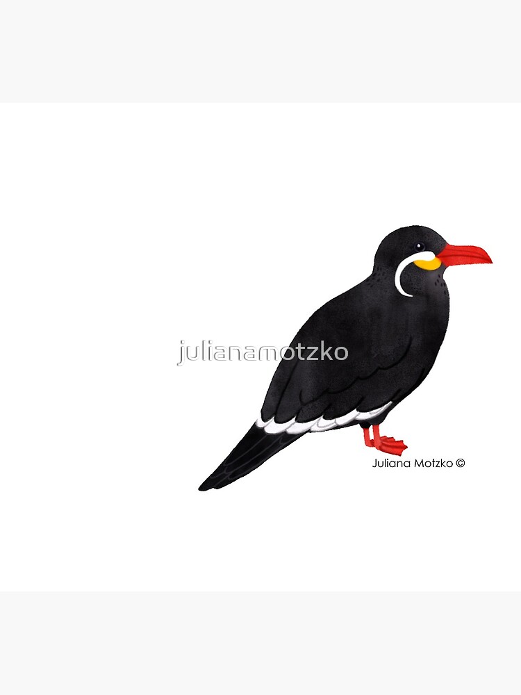 Inca Tern by julianamotzko