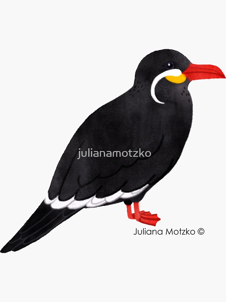 Inca Tern by julianamotzko