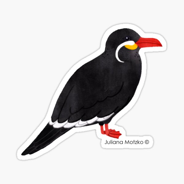 Inca Tern Sticker