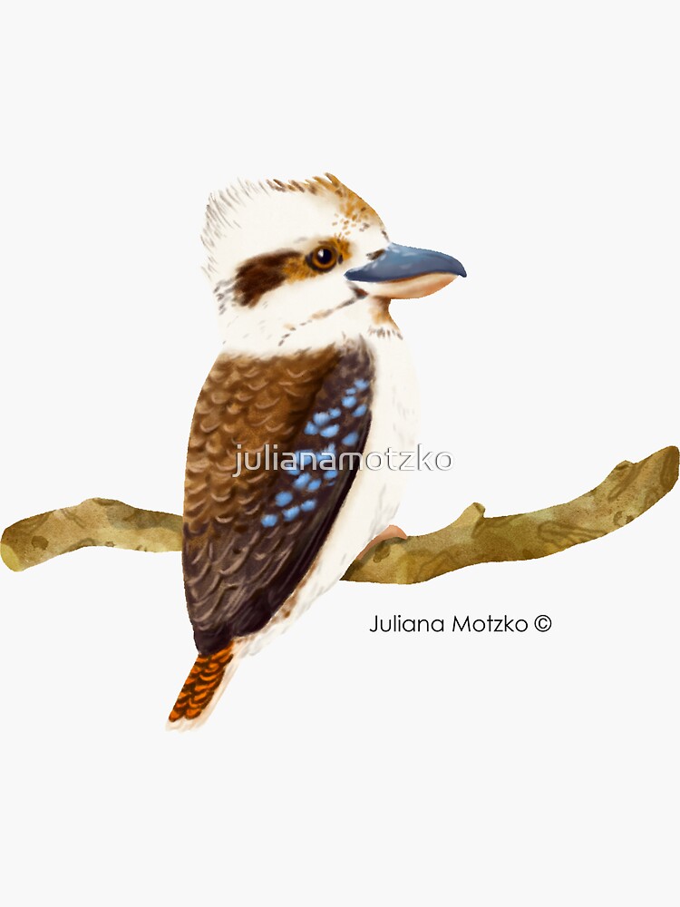 Kookaburra Bird by julianamotzko