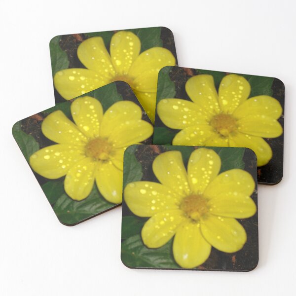 Item preview, Dainty designed and sold by Tamara McDonnell.