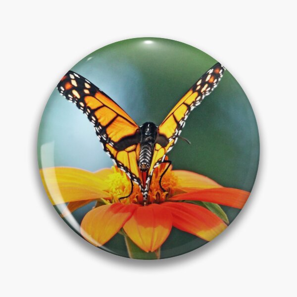 Artikelvorschau, Eleganter Monarch und mexikanische Sonnenblume entworfen und verkauft von Deb Oppermann.