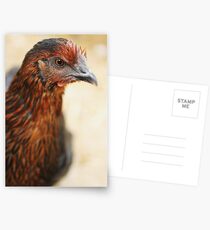 Tonks Postcards