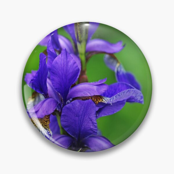 Item preview, Siberian Iris Elegance designed and sold by Deb Oppermann.