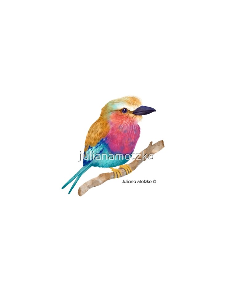 Lilac Breasted Roller by julianamotzko