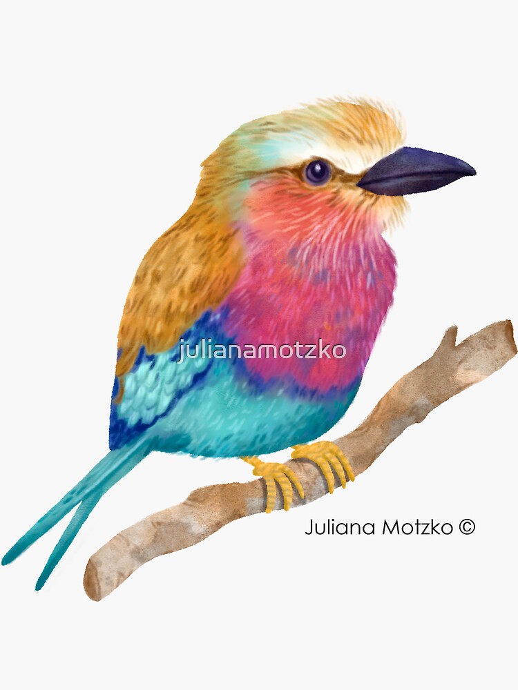 Lilac Breasted Roller by julianamotzko