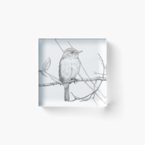 Item preview, Flycatcher  designed and sold by DigitalGen.