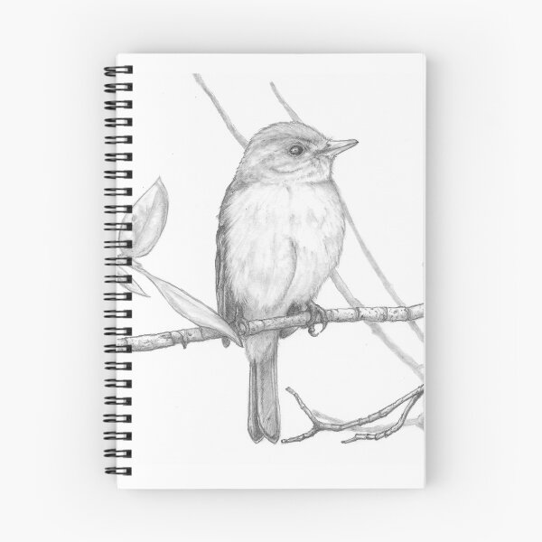 Item preview, Flycatcher  designed and sold by DigitalGen.