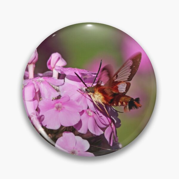 Item preview, Pink Phlox And Clearwing Moth designed and sold by Deb Oppermann.