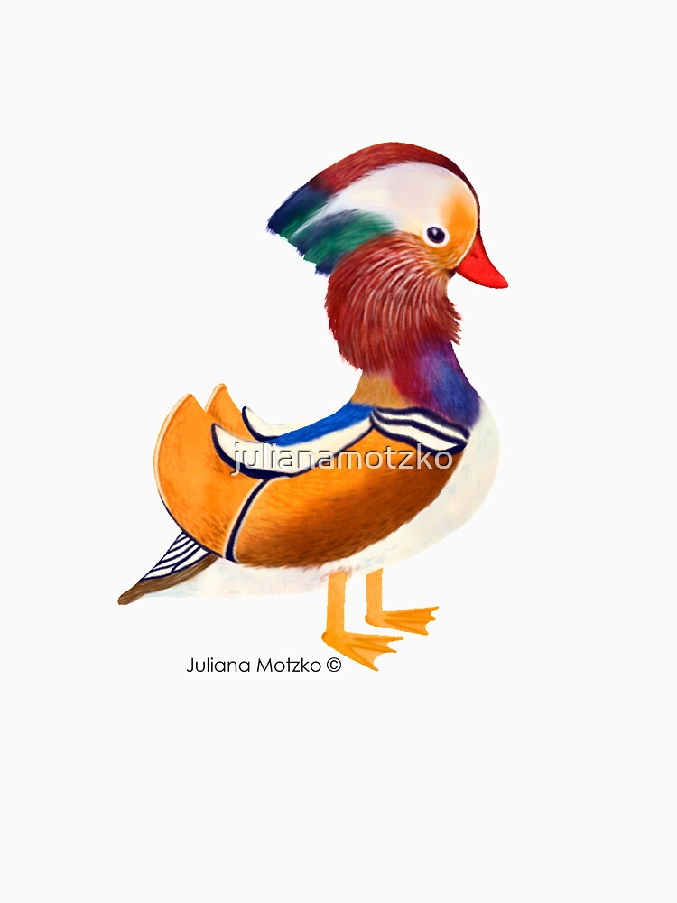 Mandarin Duck by julianamotzko
