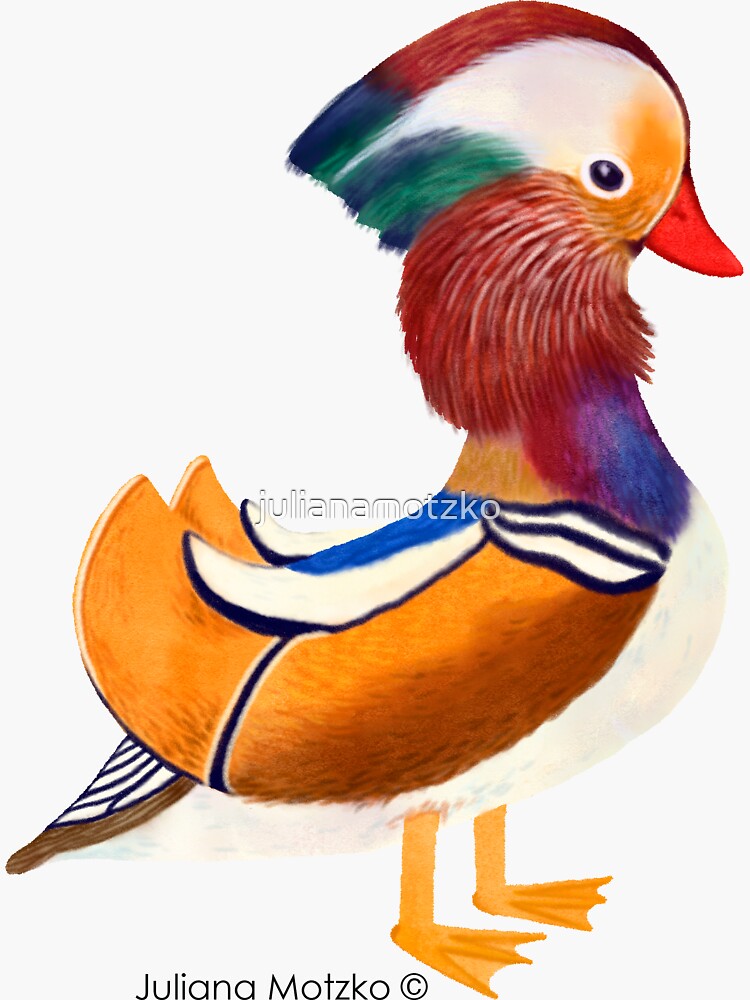 Mandarin Duck by julianamotzko