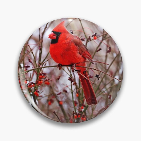 Item preview, Winter Red designed and sold by Deb Oppermann.