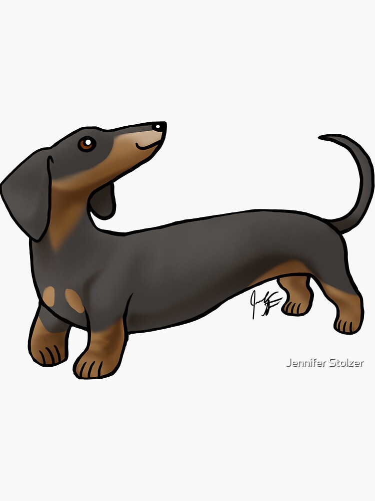 Smooth Coat Dachshund - Black and Tan by jameson9101322