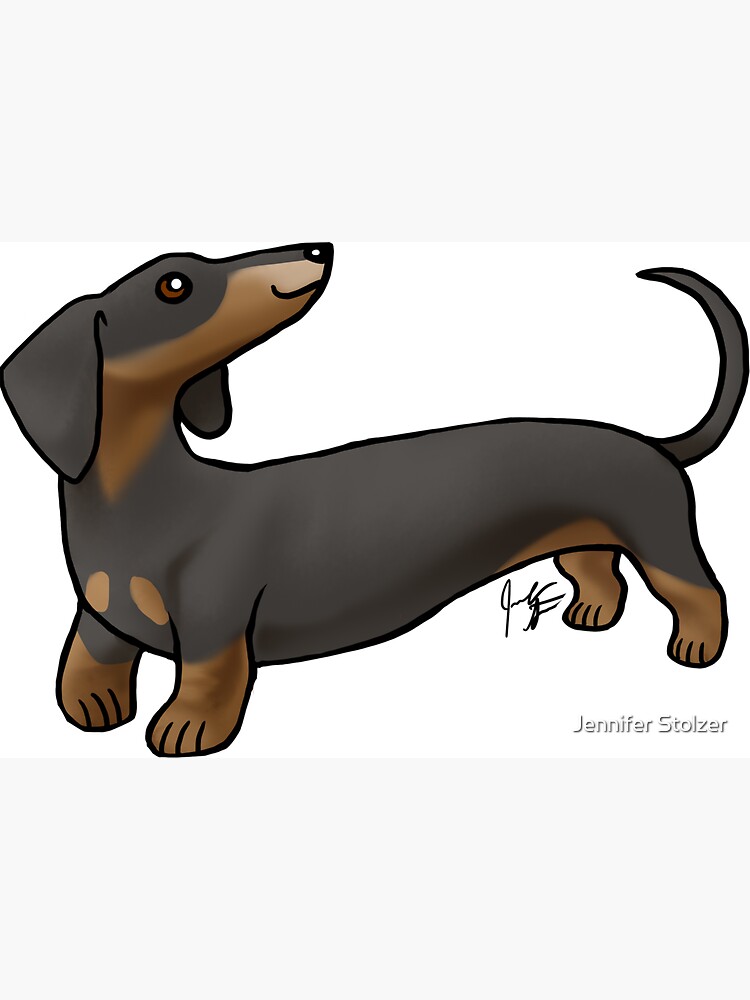 Smooth Coat Dachshund - Black and Tan by jameson9101322