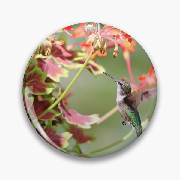 Item preview, Hummer And The Geranium designed and sold by Deb Oppermann.