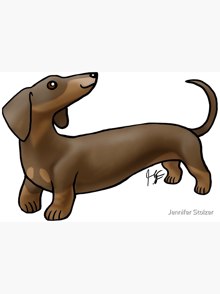Smooth Coat Dachshund - Brown and Tan by jameson9101322