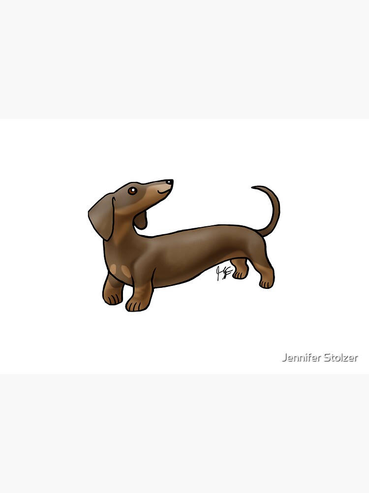 Smooth Coat Dachshund - Brown and Tan by jameson9101322