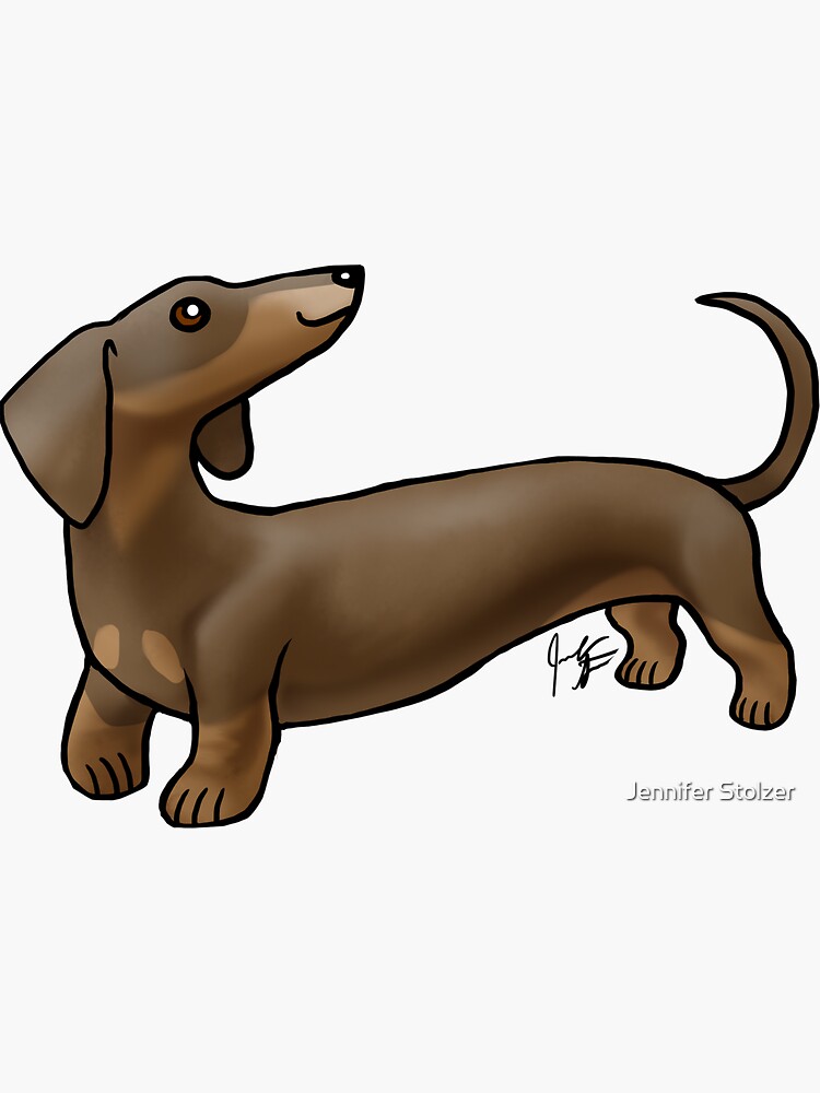 Smooth Coat Dachshund - Brown and Tan by jameson9101322