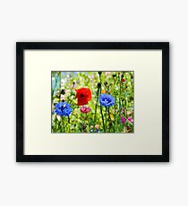 Cottage garden Framed Print