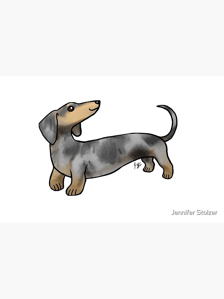 Smooth Coat Dachshund - Dappled by jameson9101322