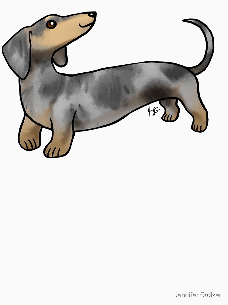 Smooth Coat Dachshund - Dappled by jameson9101322