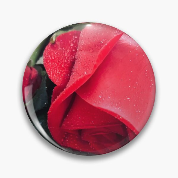 Aperçu de l'œuvre Les roses sont rouges créée et vendue par Bill Colman.