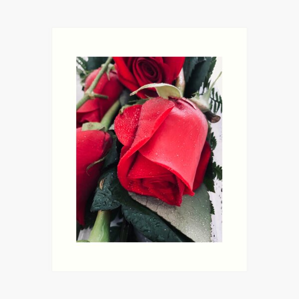 Aperçu de l'œuvre Les roses sont rouges créée et vendue par Bill Colman.