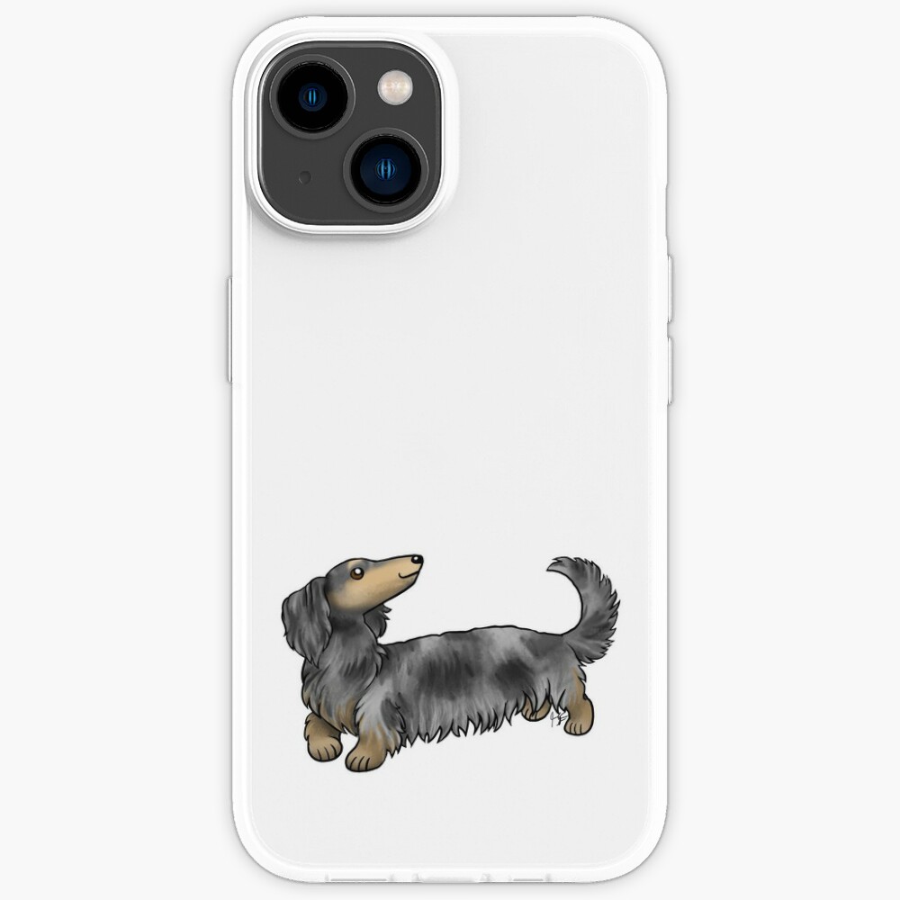 Long Haired Dachshund - Dapple