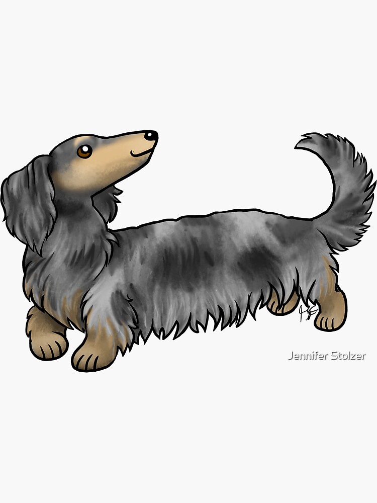 Long Haired Dachshund - Dapple by jameson9101322