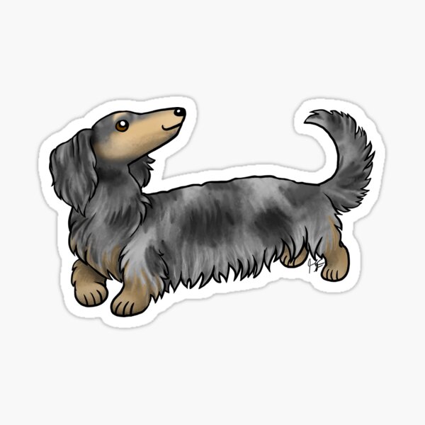Long Haired Dachshund - Dapple Sticker
