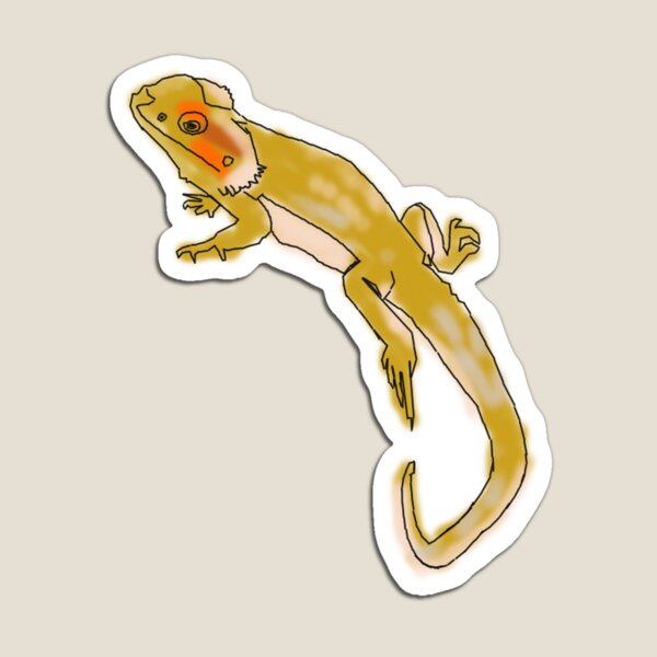 Chadwick the Beardie Magnet