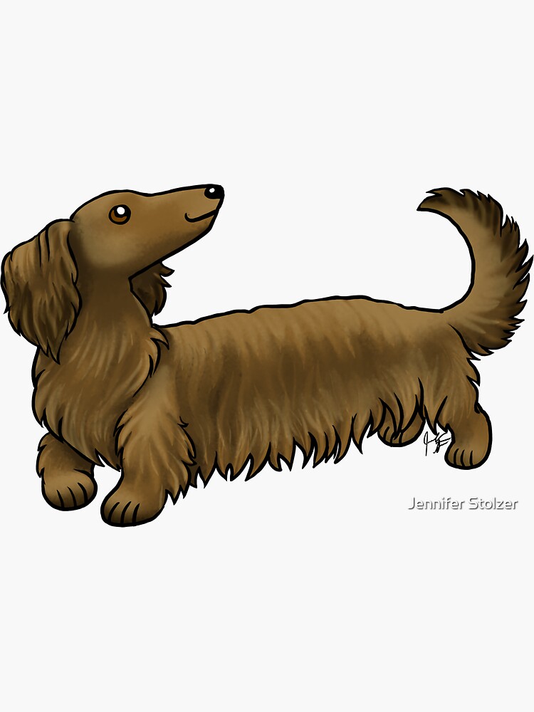 Long Haired Dachshund - Brown by jameson9101322