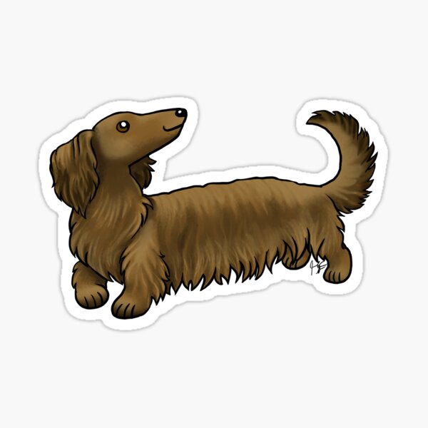 Item preview, Dog - Long  Haired Dachshund - Brown designed and sold by Jennifer Stolzer.