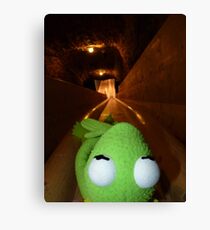 Frog Kermit Slip Mine Salt Mine Canvas Print