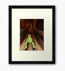 Frog Kermit Slip Mine Salt Mine Framed Print