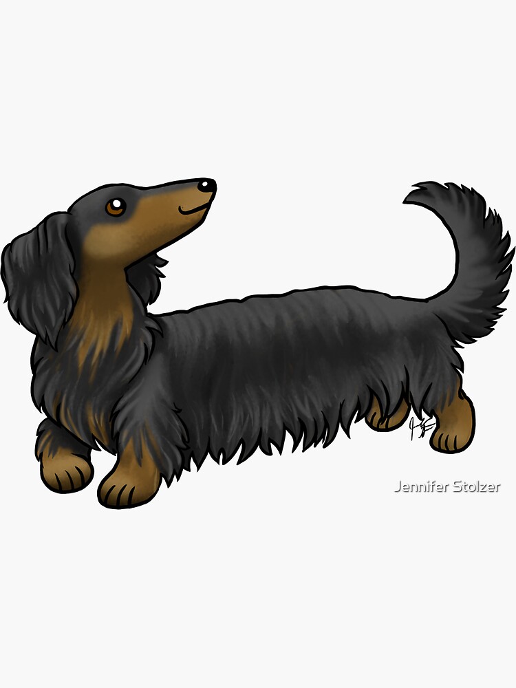 Long Haired Dachshund - Black and Tan by jameson9101322