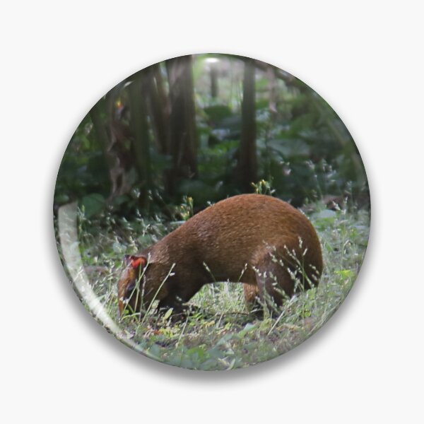 Item preview, Agouti designed and sold by Carole-Anne.
