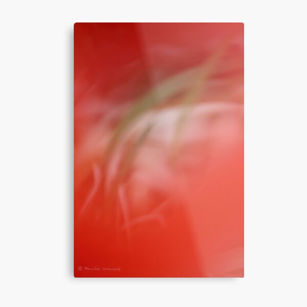 Blowing in the wind Metal Print