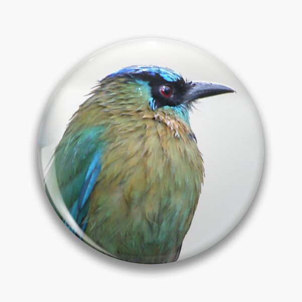 Item preview, Blue-crowned Motmot designed and sold by Carole-Anne.