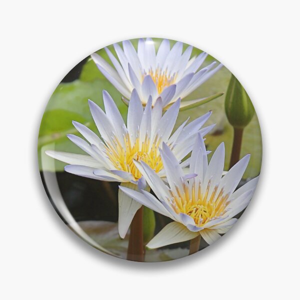 Item preview, Water Lilies designed and sold by Carole-Anne.