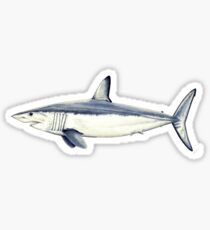 Makohai Sticker